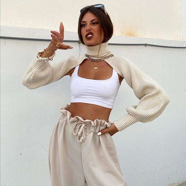 Knitted Crop Out Turtleneck