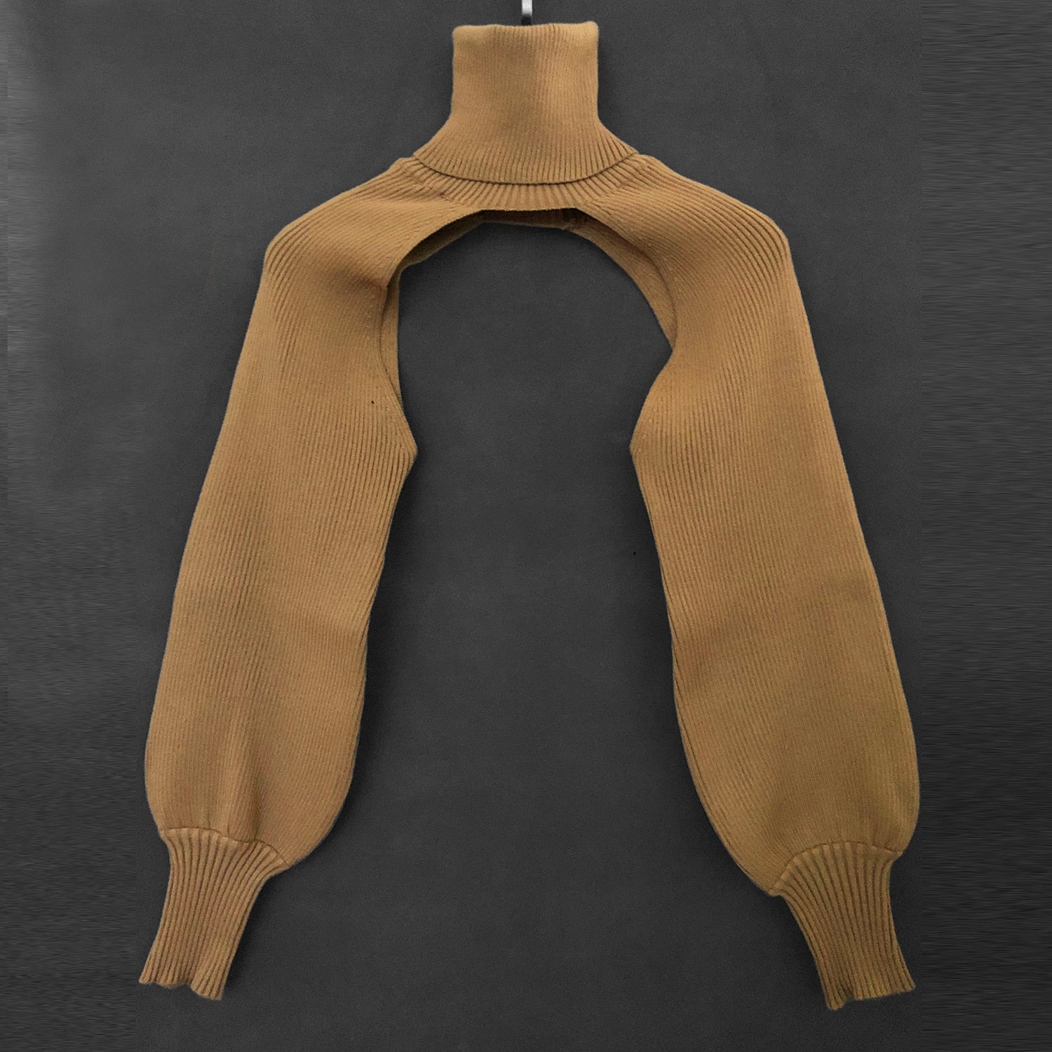 Knitted Crop Out Turtleneck