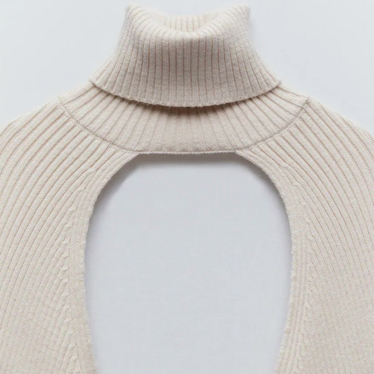 Knitted Crop Out Turtleneck